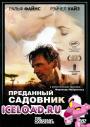 скачать мобильные фильмы