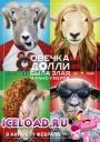 скачать мобильные фильмы